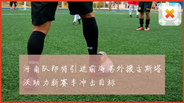河南队即将引进前海港外援古斯塔沃助力新赛季冲击目标