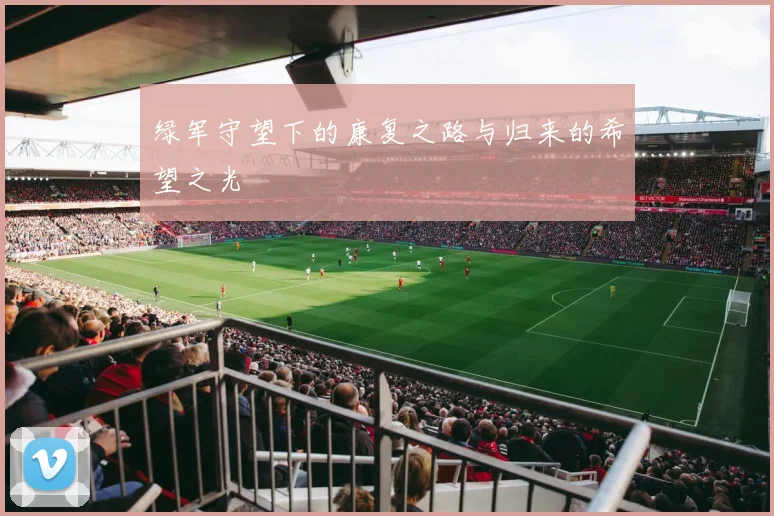 绿军守望下的康复之路与归来的希望之光