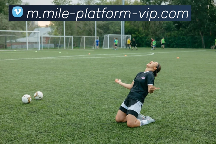 米乐平台平台生态图