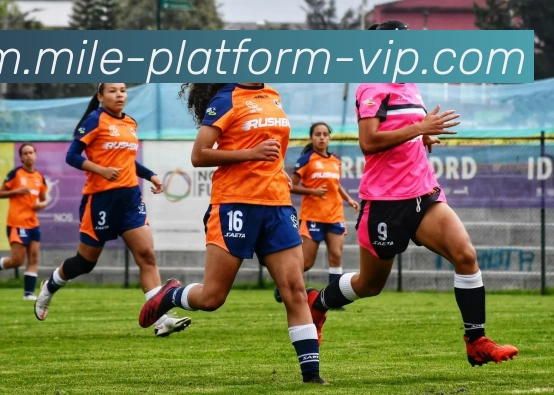 米乐平台全站App